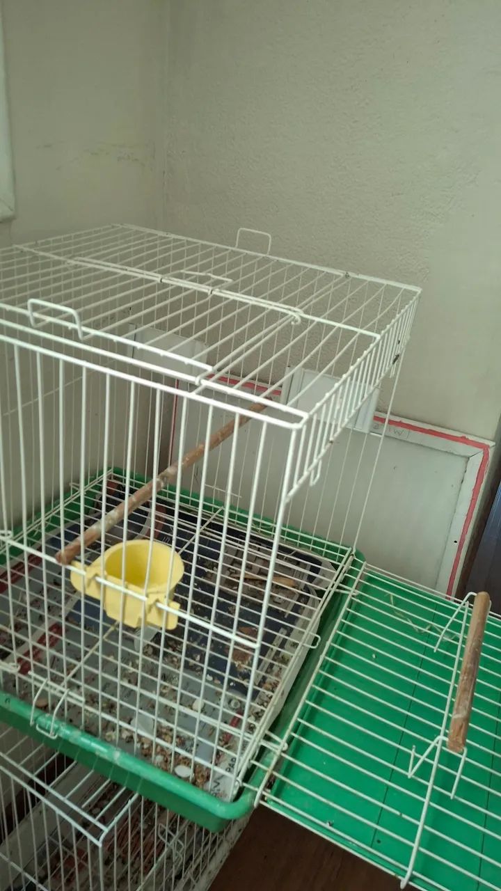 Gaiola para Pássaros Calopsita - Foto 3