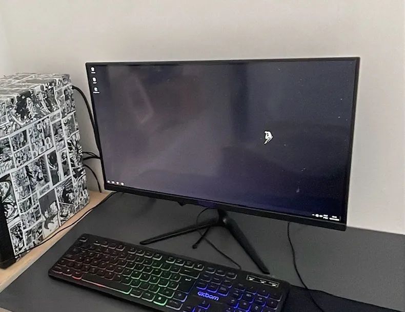 Monitor Mancer 21 pol 
