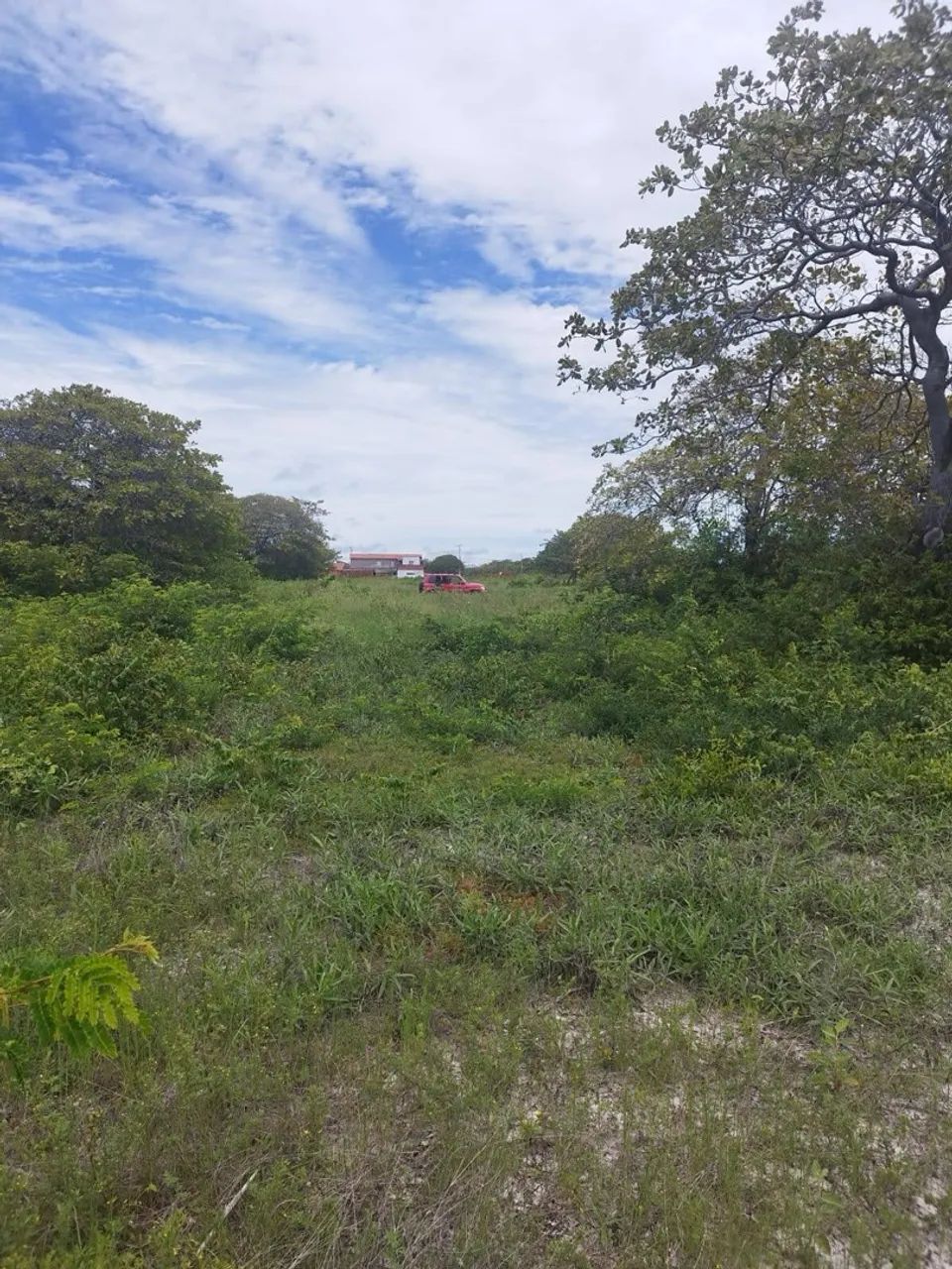 Lote em Fortim ( REPASSE )