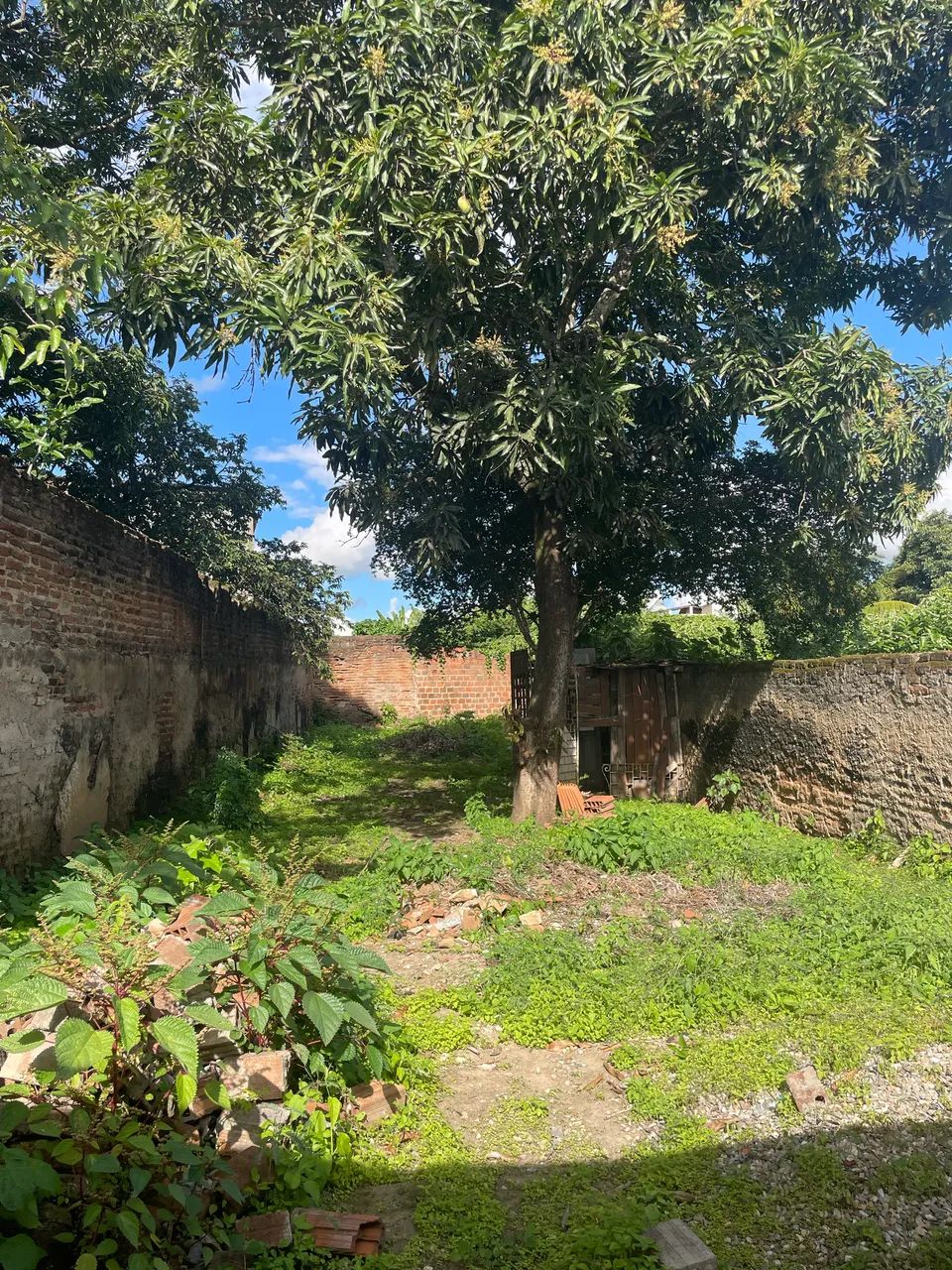 Vendo casa/comercial em Palmeira dos Índios  - Foto 5