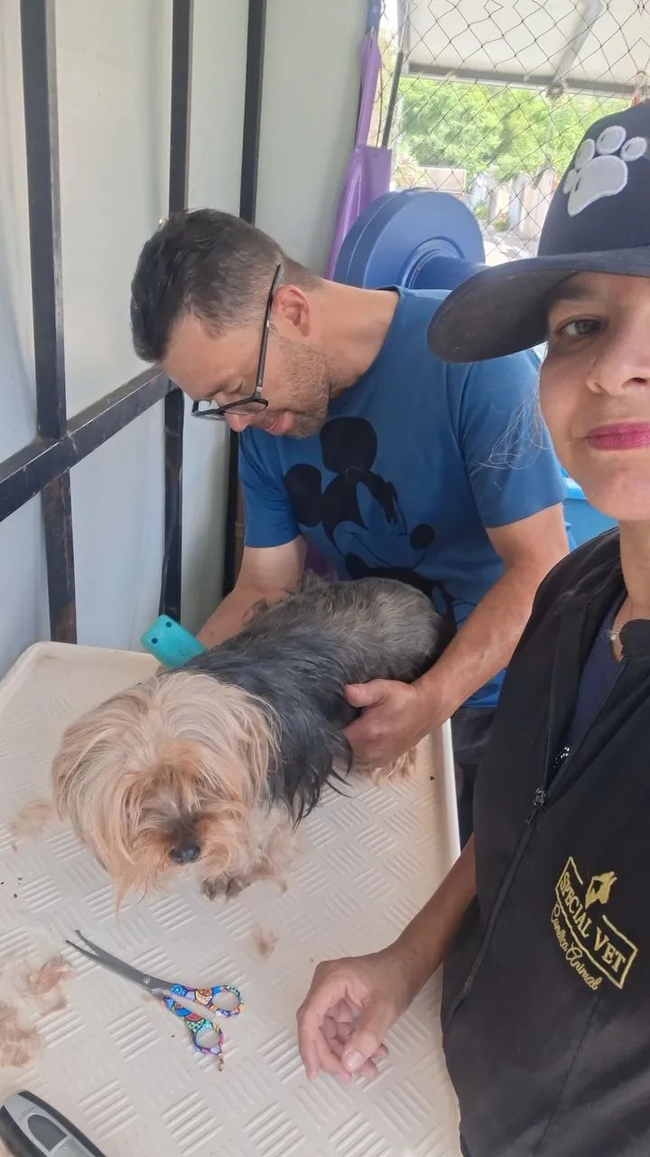 Banho e tosa em domicilio 