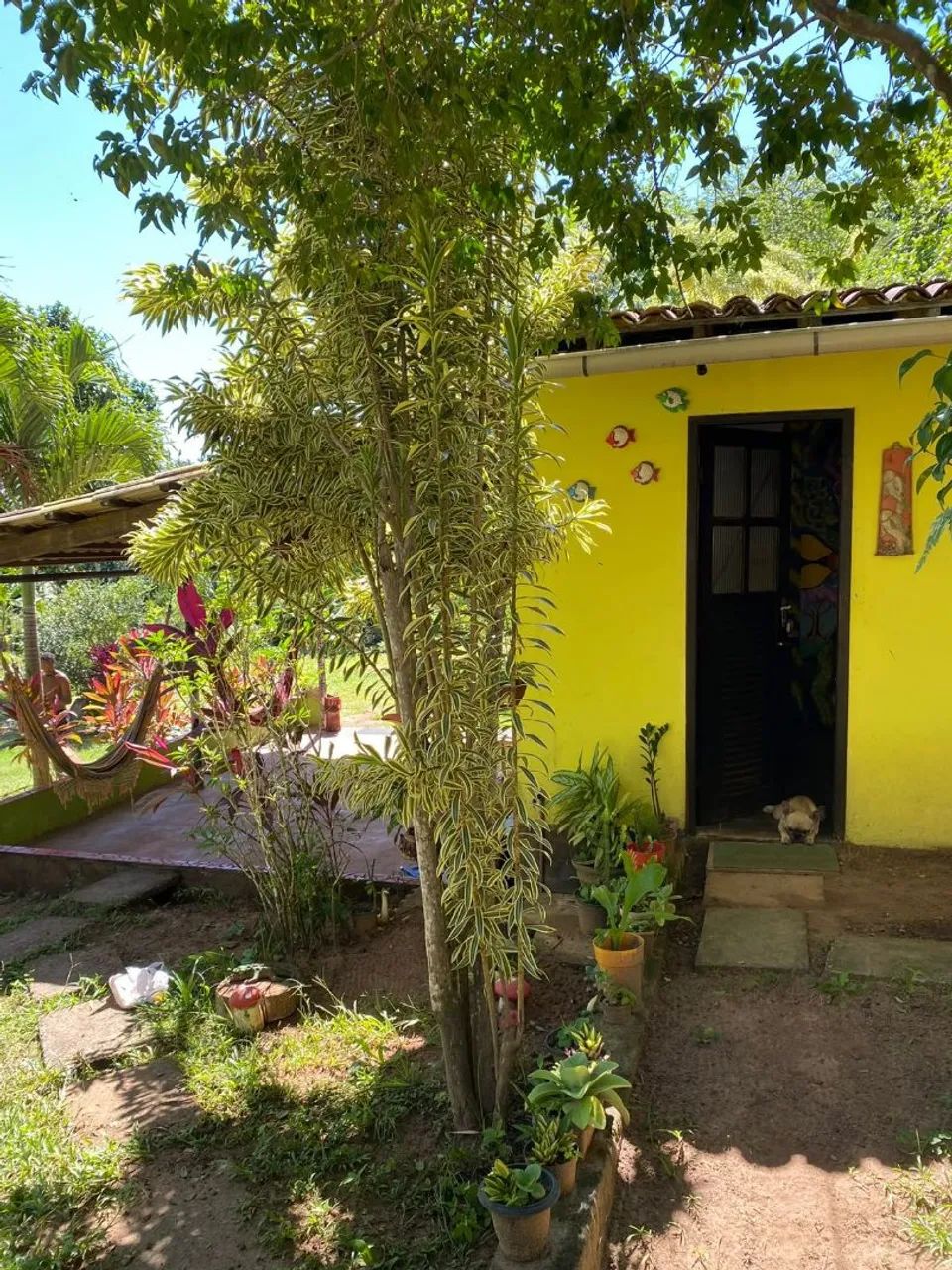 Vende-se Sitio em Barra de Pojuca - Foto 3