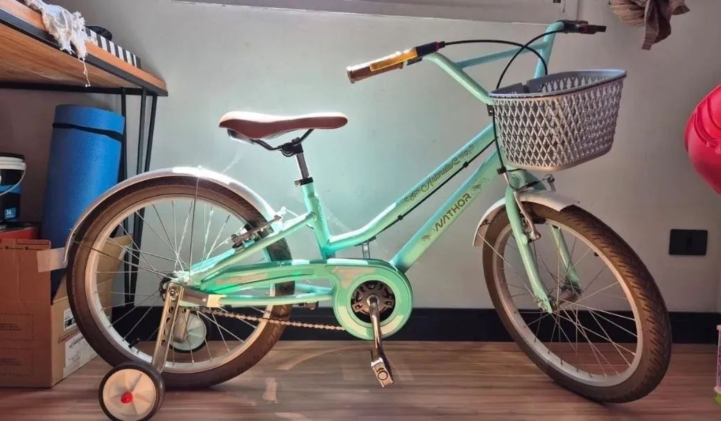 Bicicleta Nathor Antonela aro 20