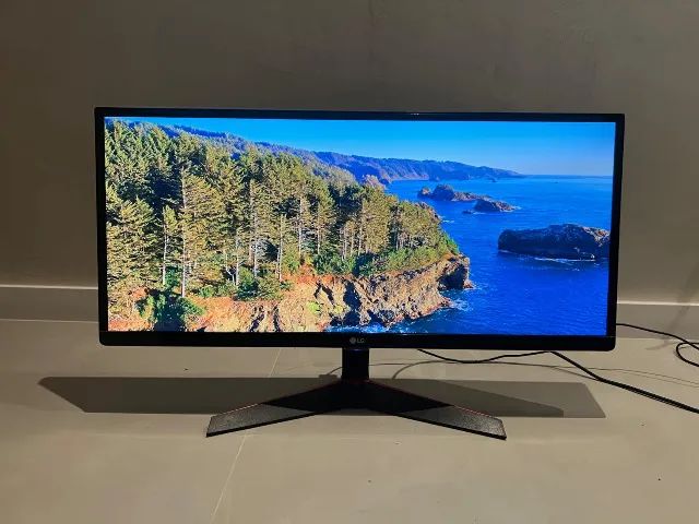 Monitor Ultra Wide LG 29?