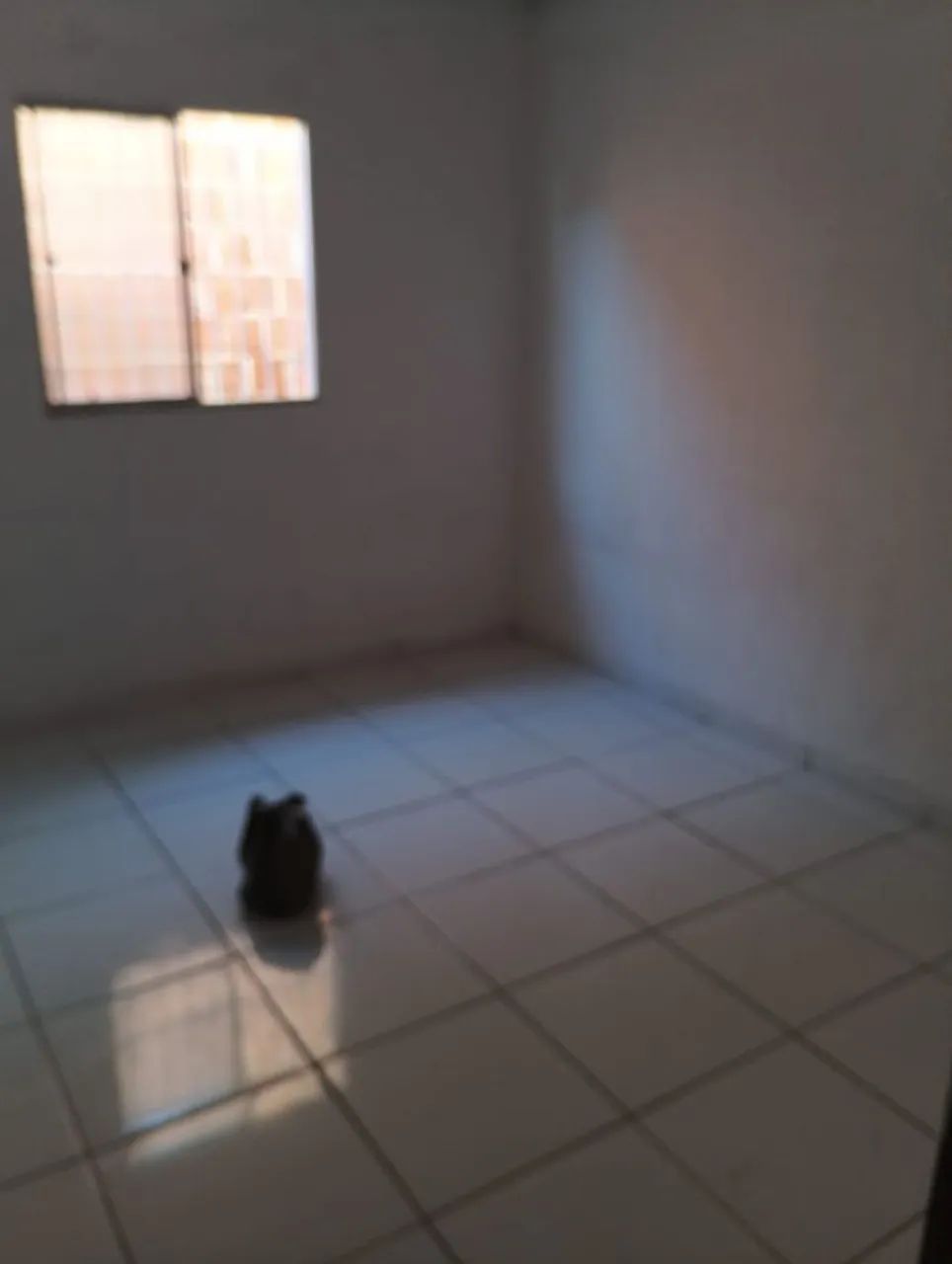 casa pra alugar  - Foto 4