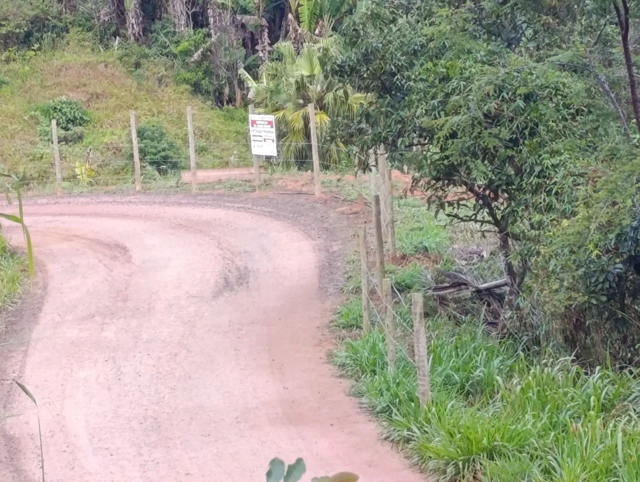 Sitio5.000m²comunida holandinha... - Foto 5