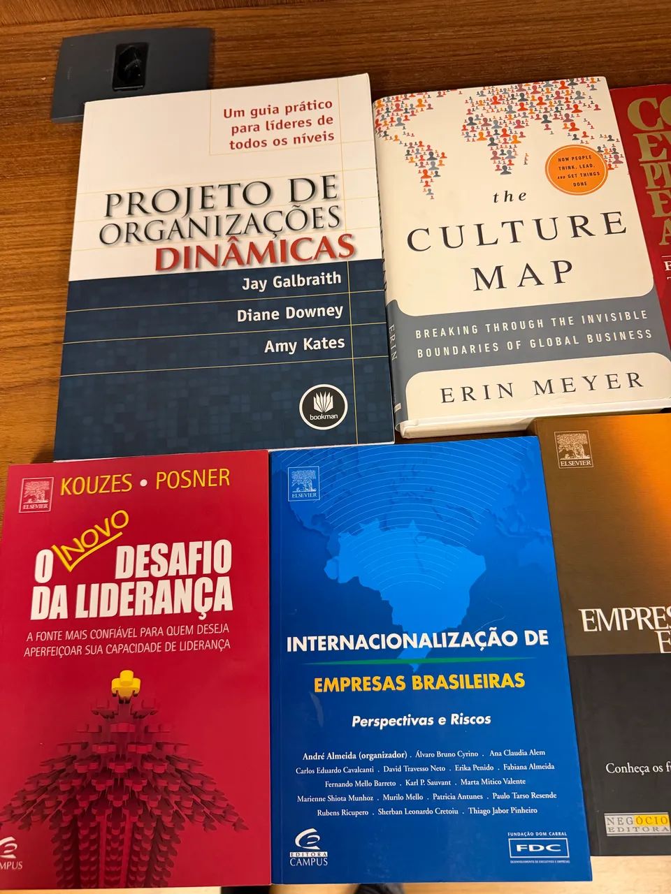 Livros Gestão e Liderança 