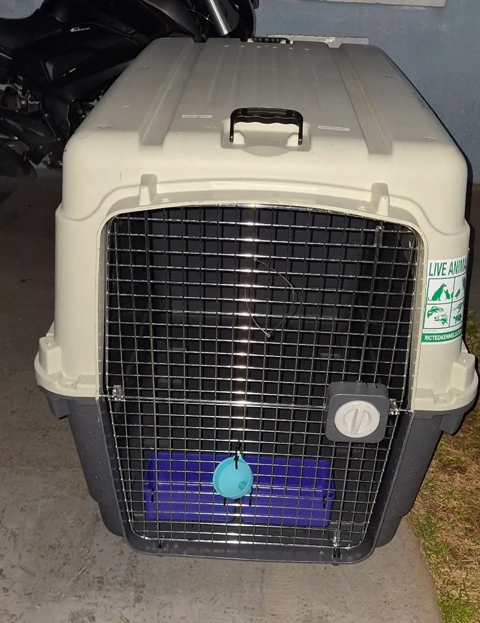 Caixa de transporte de animais