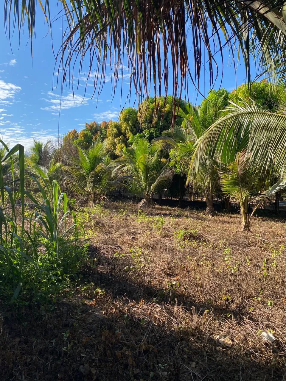 VENDE-SE CHÁCARA BAIRRO NOVA CARAJÁS  - Foto 5