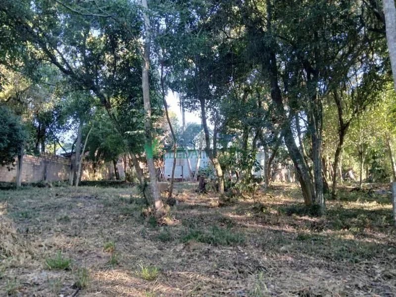 Velleda oferece lindo imóvel comercial no Espigão com 3.200m² e localização estratégica - Foto 4