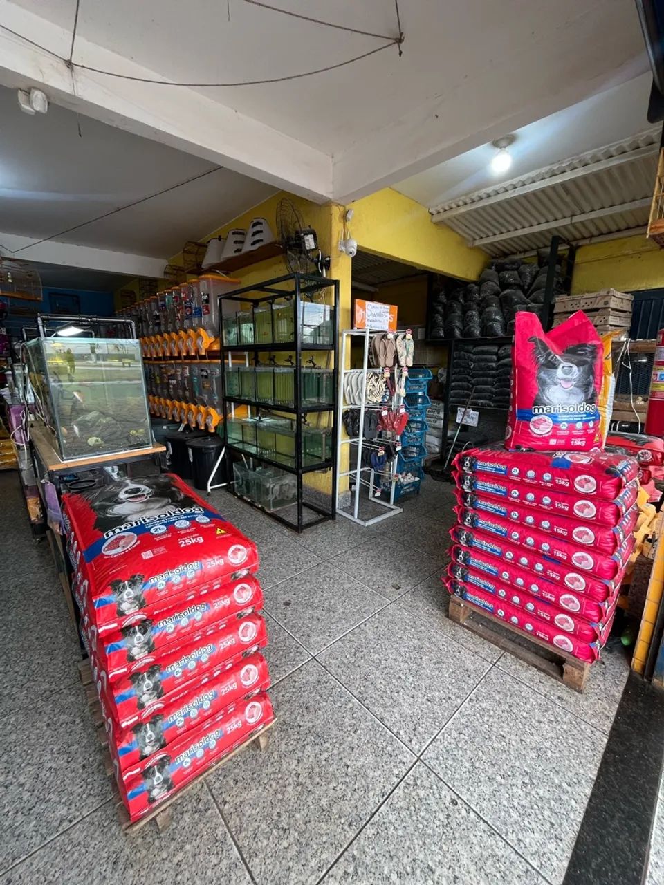 Vendo agropecuária!! - Foto 2