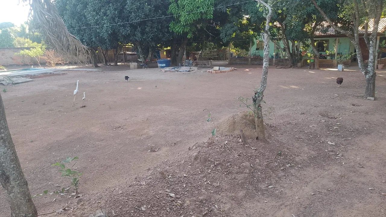 Vende-se chácara urgentemente! - Foto 2