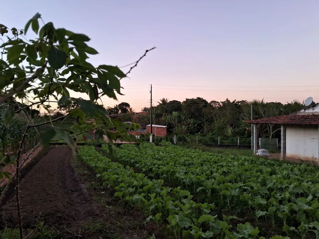 Casa com Terreno - Zona Rural de Lagarto  - Foto 5