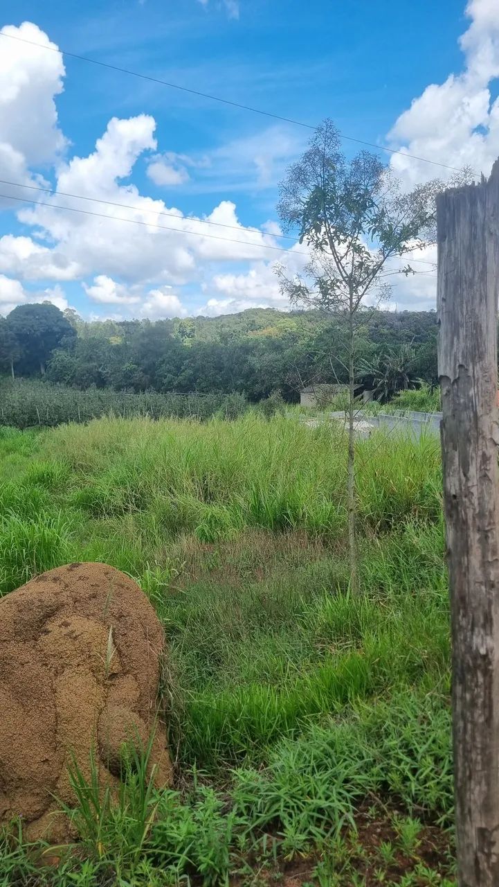 Terreno rural - Foto 2