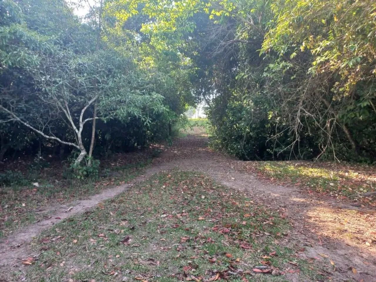 Fazenda na Transacreana - Foto 3