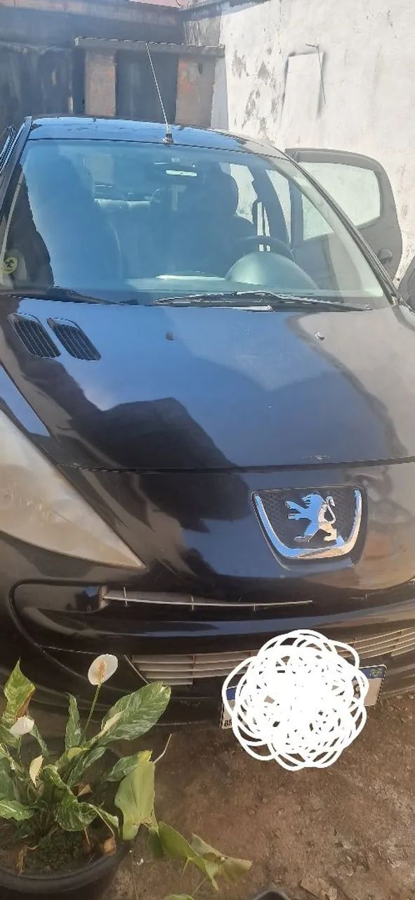 Peugeot 207 207 XR 1.4 FLEX 8V 5P 2012