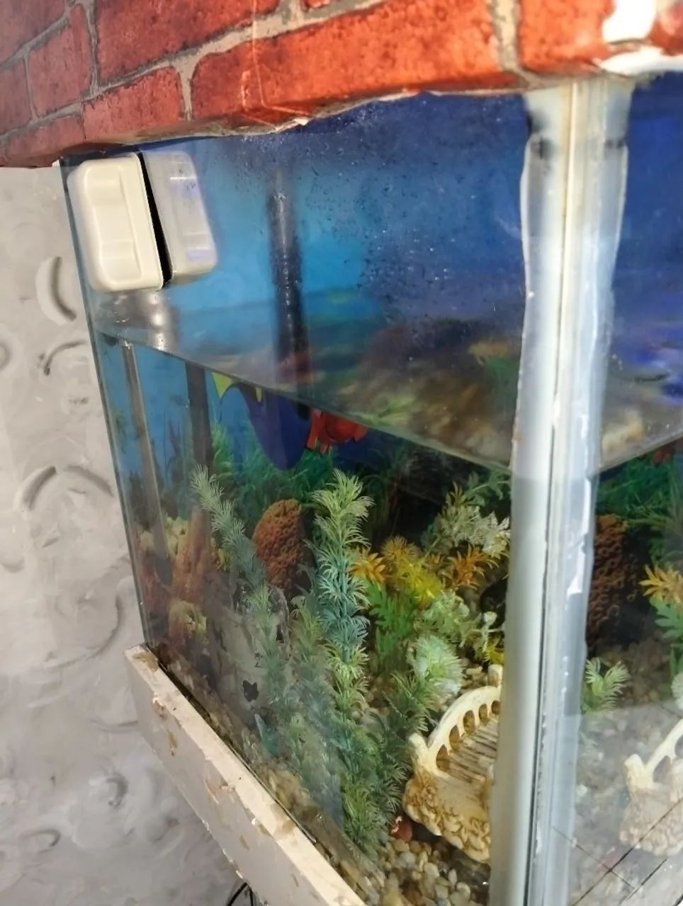 Aquário completo - Foto 4