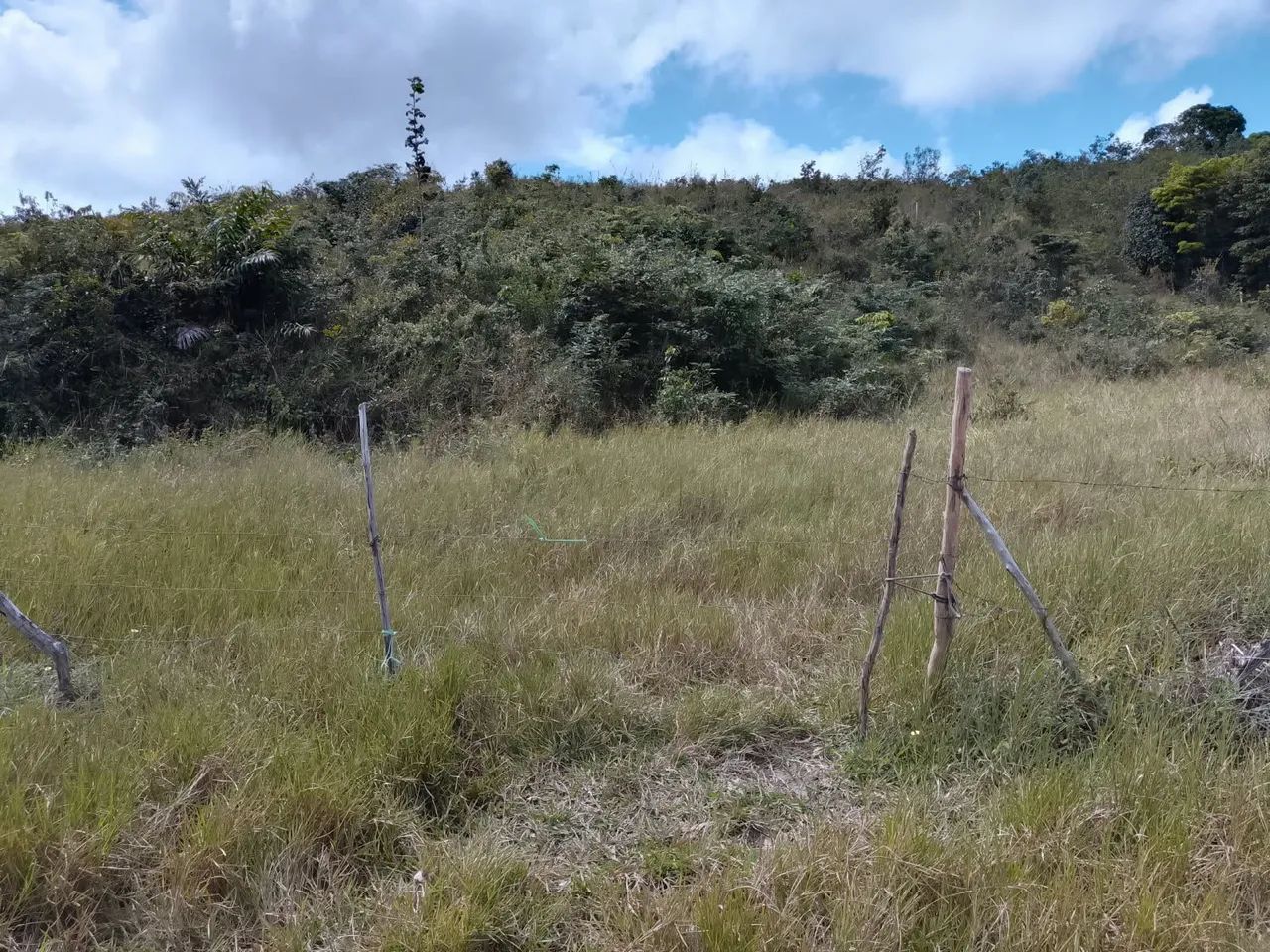 Terreno - Foto 4