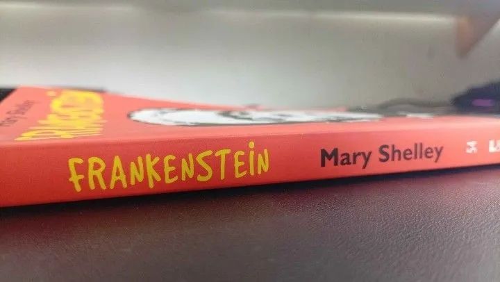 Frankstein, Mary Shelley - Foto 3