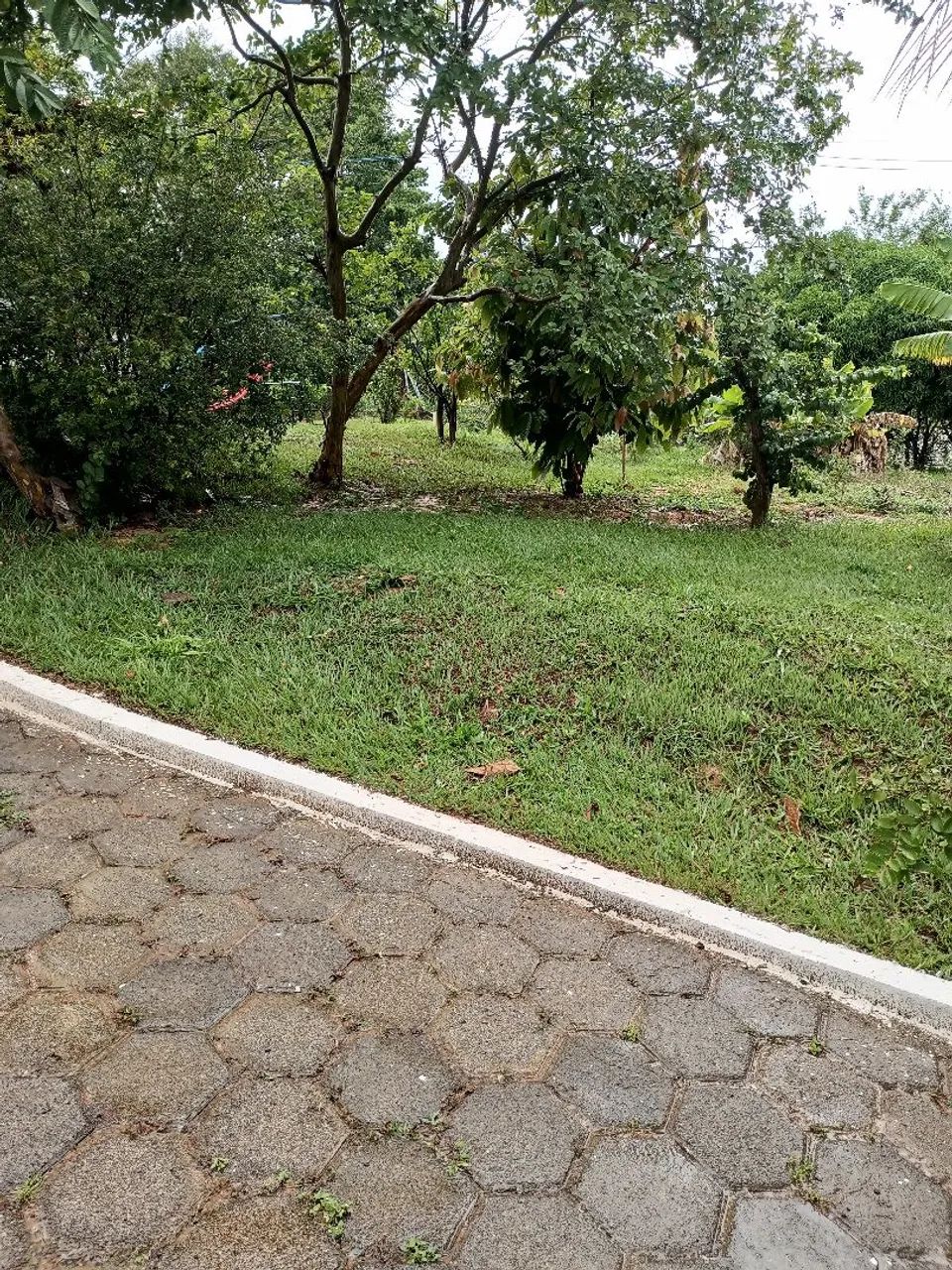 Sítio para locação  - Foto 4