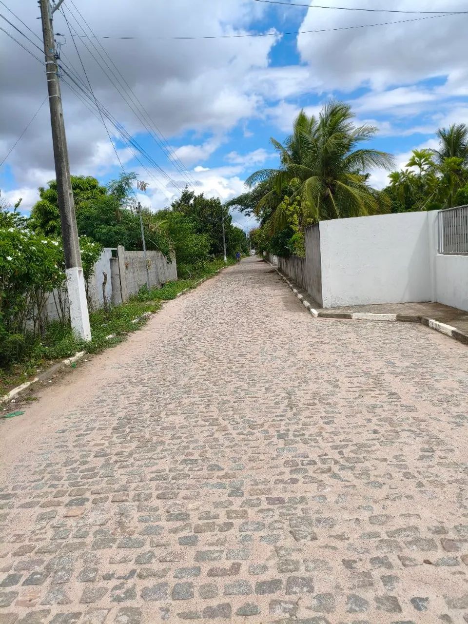Terreno no papagaio  - Foto 3