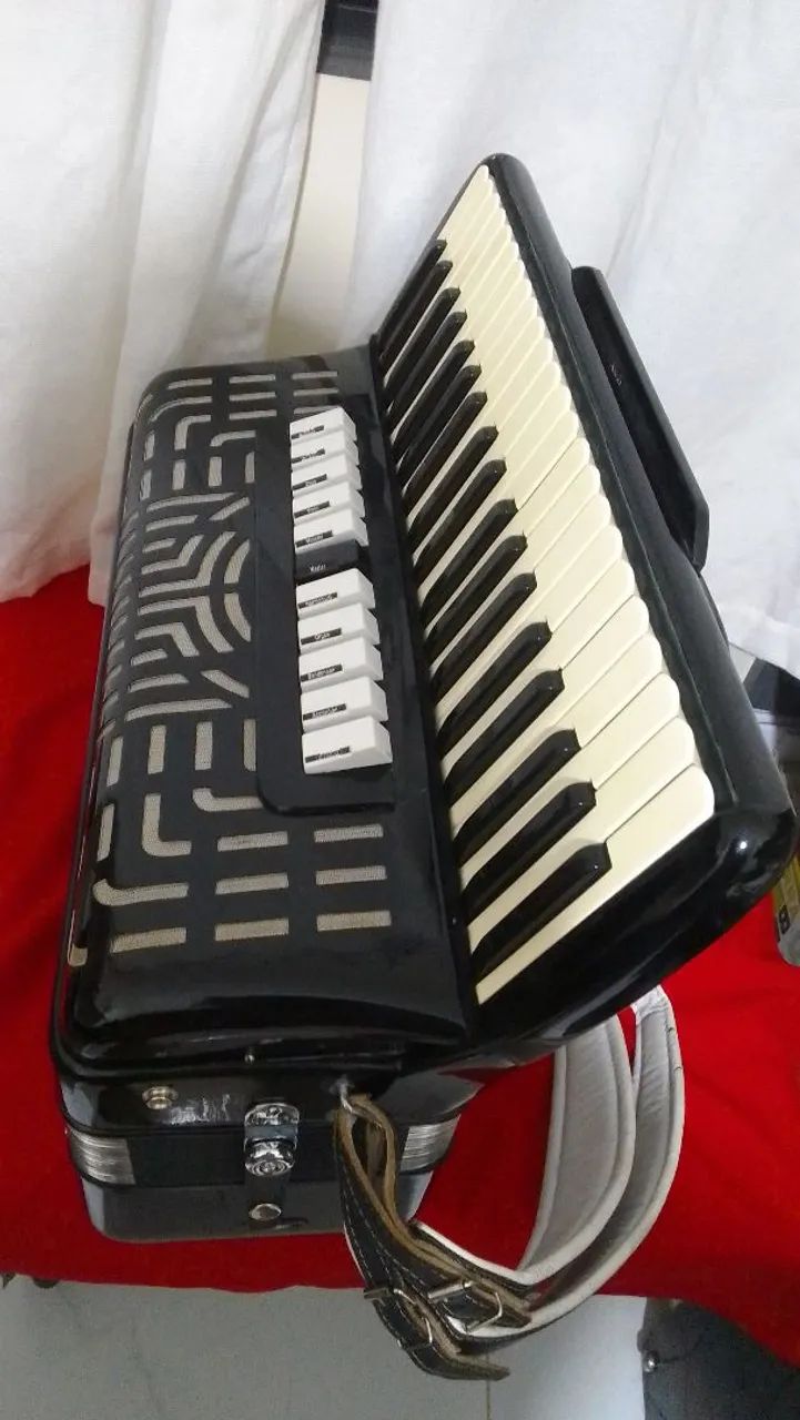 Acordeon  - Foto 4