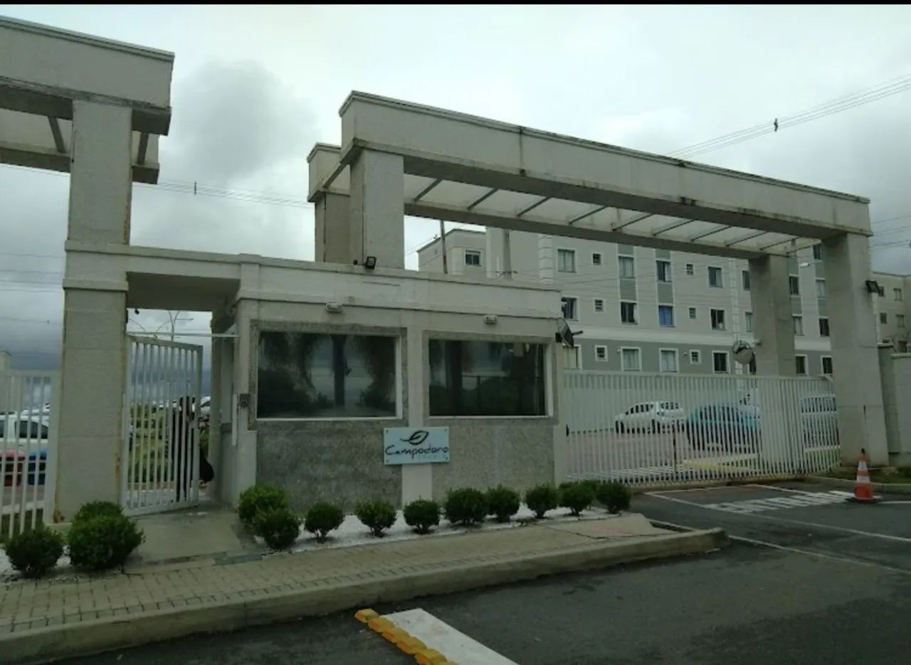 Foto - Araucária - Sabiá