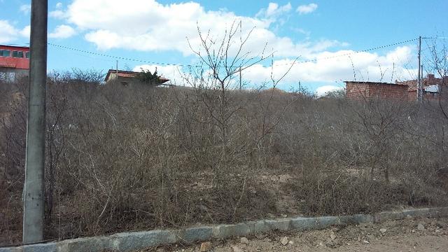 Um terreno no Loteamento Fazenda Riacho do Mel