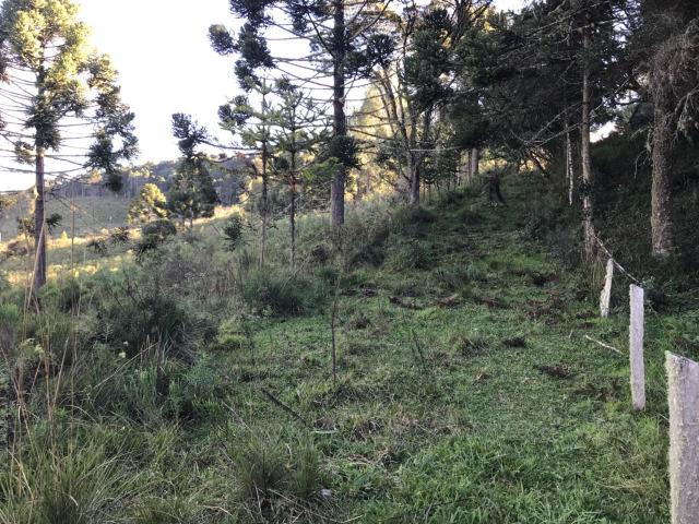 Área com 20mil m2 na cidade mais fria do Brasil - Urupema - sc - Foto 9