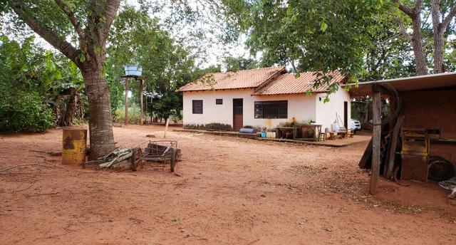Chácara 30 ha - R$ 430.000,00