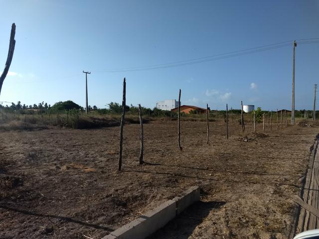 Terreno - Foto 5