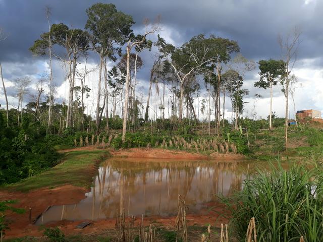 Vendo essa chácara na beira do asfalto - Foto 5