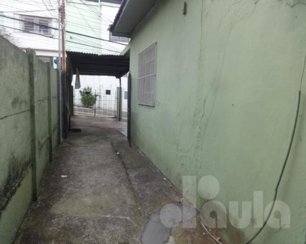 Vila gerty - terreno urbano com 260m2 - próximo aos comércios locais