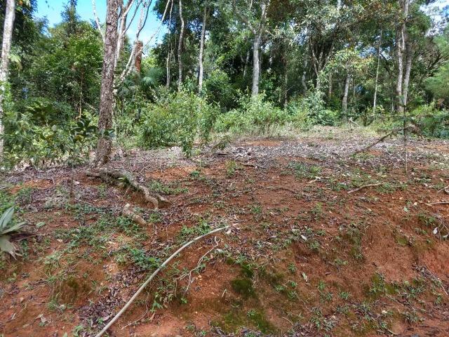 Sitio 20.000 m2 acesso asfalto em Soído Domingos Martins - Foto 13