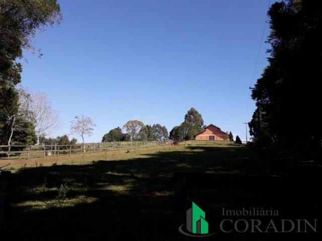 Haras em Campina Grande do Sul - Foto 2