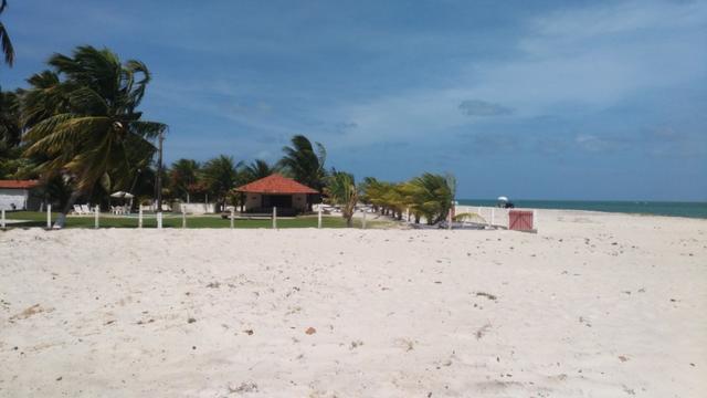 Vende-se excelente terreno em Barra de Catuama , a 200m da praia - Foto 20