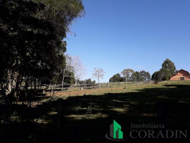 Haras em Campina Grande do Sul - Foto 11