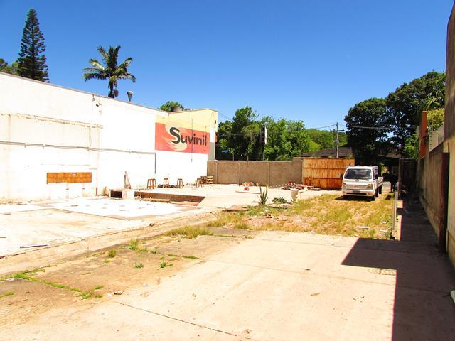 Terreno para alugar em , cod:I-019701 - Foto 8