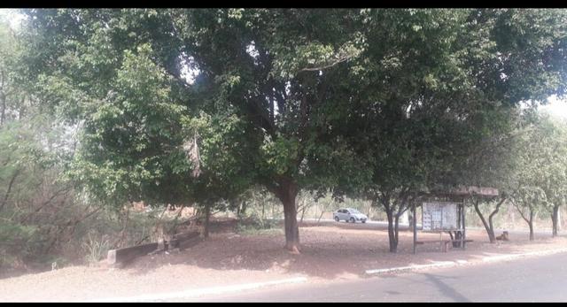 Vendo terreno de 1.000 m² no bairro Mapim - Várzea Grande