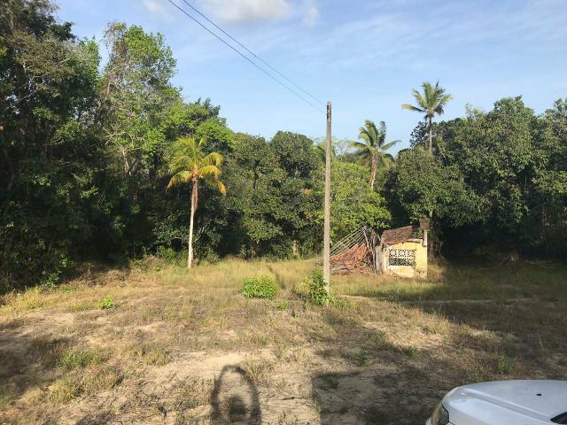 Vendo Sítio de 04ha próximo ao Restaurante Capão em Goiana - Foto 5
