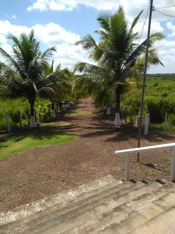 Sítio em apeú - Foto 10