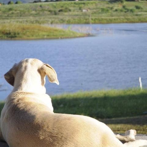 Alugo Sitio beira barragem de Anagé,fins de semana e feriados, - Foto 5