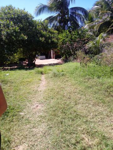 Terreno - Foto 4