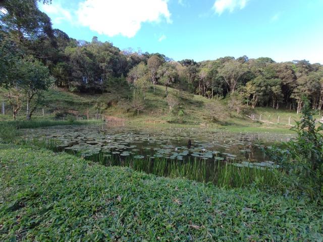 Chácara em São José dos Pinhais 20.000 metros quadrados - Foto 7