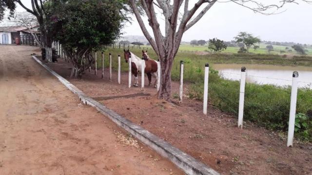 Fazenda para venda em feira nova, feira nova - Foto 5