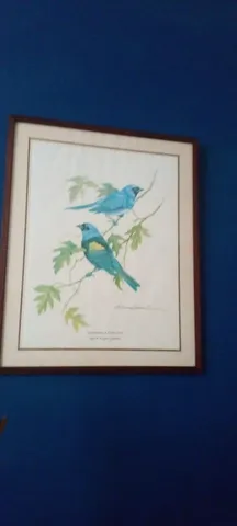quadro par de andorinhas