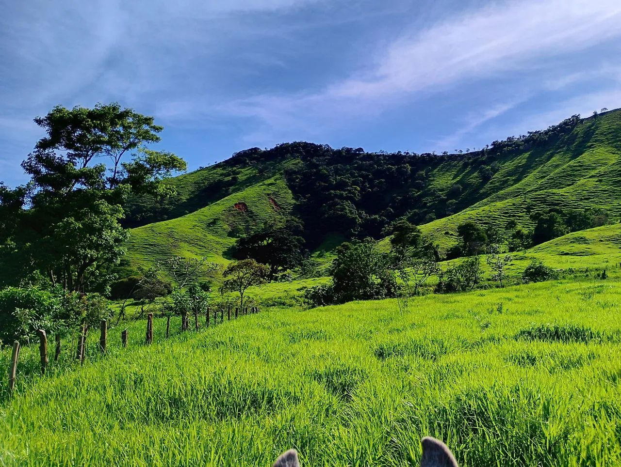 Fazenda a venda  - Foto 6