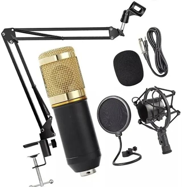 Microfone Condensador P2/XLR Leboss BM-800 com Suporte Braço Articulado - WZetta