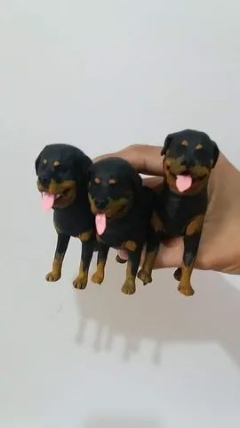Pets ? em miniatura  - Foto 2