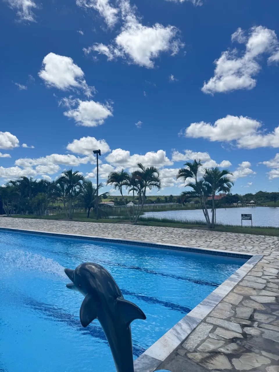 Lotes no Fazenda real  - Foto 4